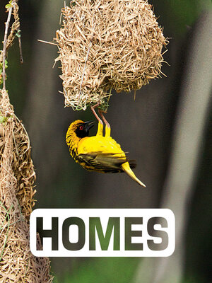 cover image of Homes